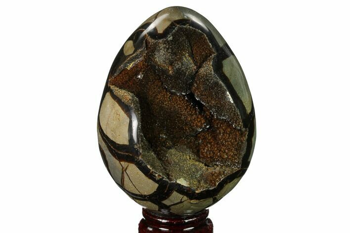 Septarian Dragon Egg Geode - Black Crystals #172795
